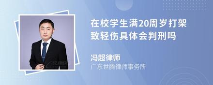 在校学生满20周岁打架致轻伤具体会判刑吗