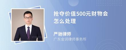 抢夺价值500元财物会怎么处理