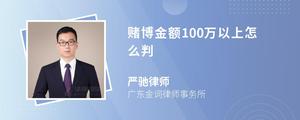 赌博金额100万以上怎么判