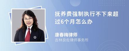 抚养费强制执行不下来超过6个月怎么办